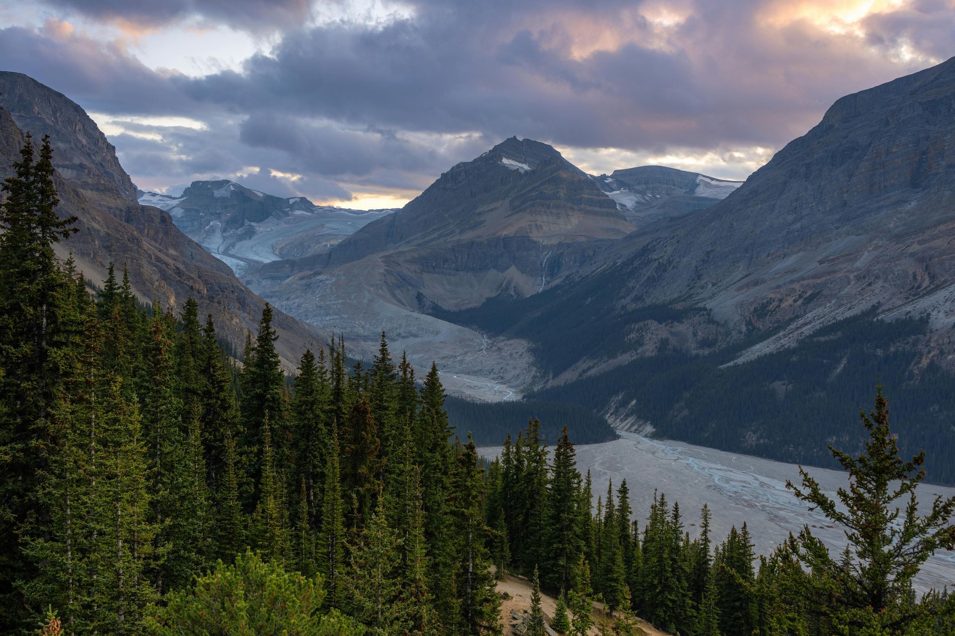 Mountain valley with glacier under a cloudy sky, seen through evergreen trees.