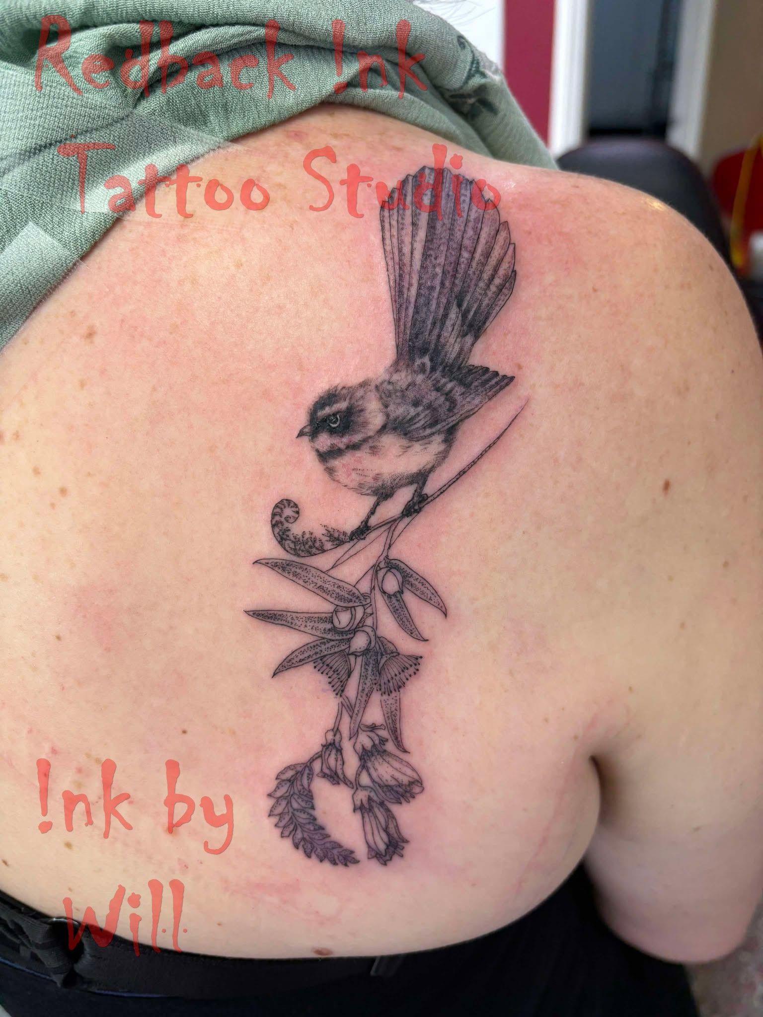 Tattoo of a Bird Perched on a Branch, on a Person's Back — Redback !nk Tattoo Studio in Kawana, QLD