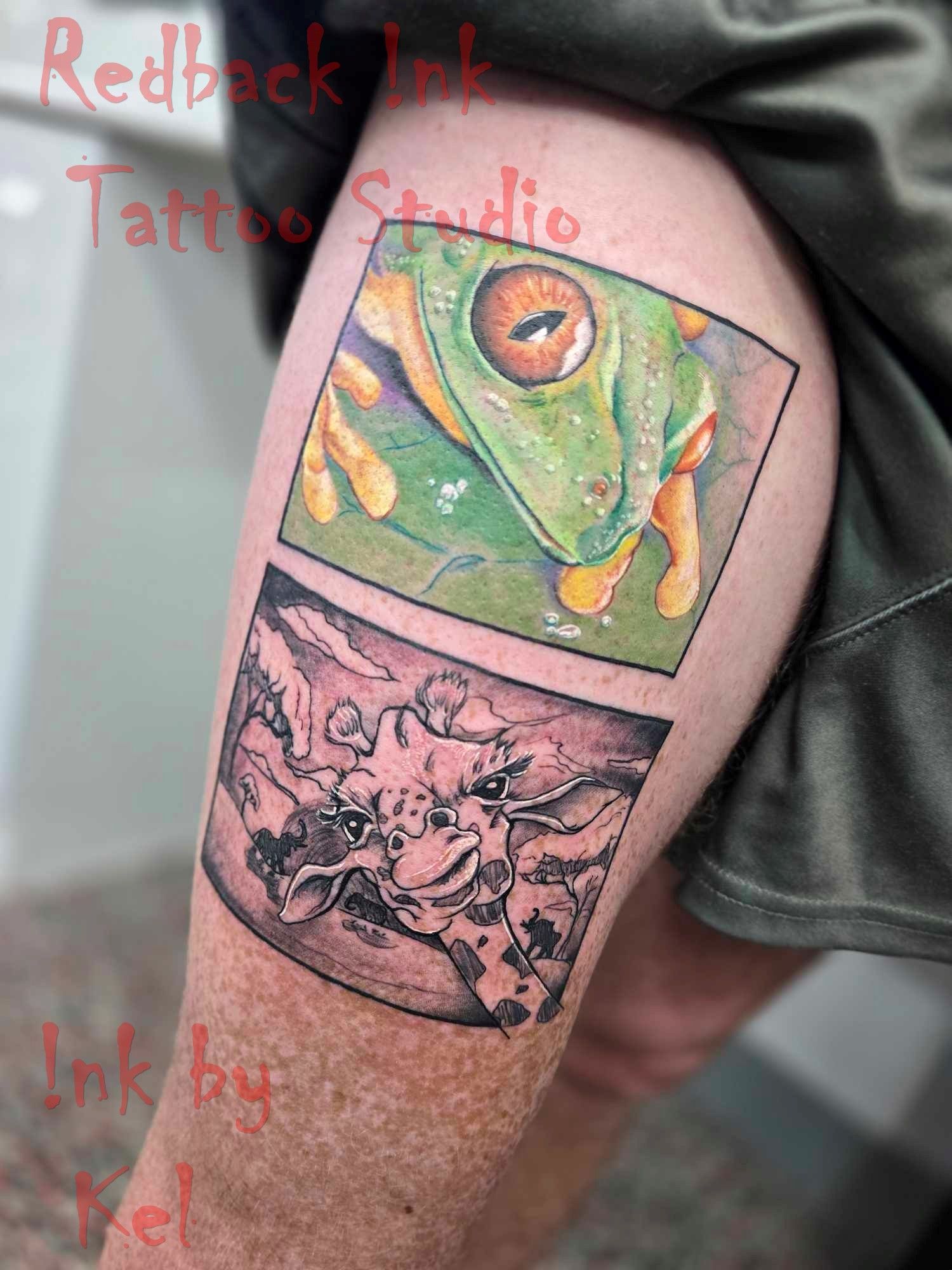 Tattoo of a green frog in a box above a giraffe's head. Both images in black and white boxes. Red text on left. — Redback !nk Tattoo Studio in Kawana, QLD