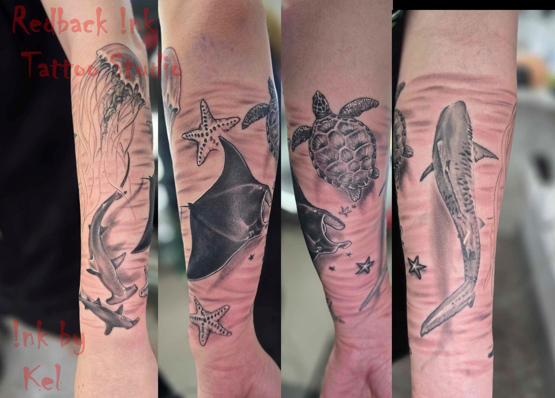 Tattoo sleeve: jellyfish, sharks, starfish, manta ray, turtle, and a whale shark in grayscale underwater scene. — Redback !nk Tattoo Studio in Kawana, QLD