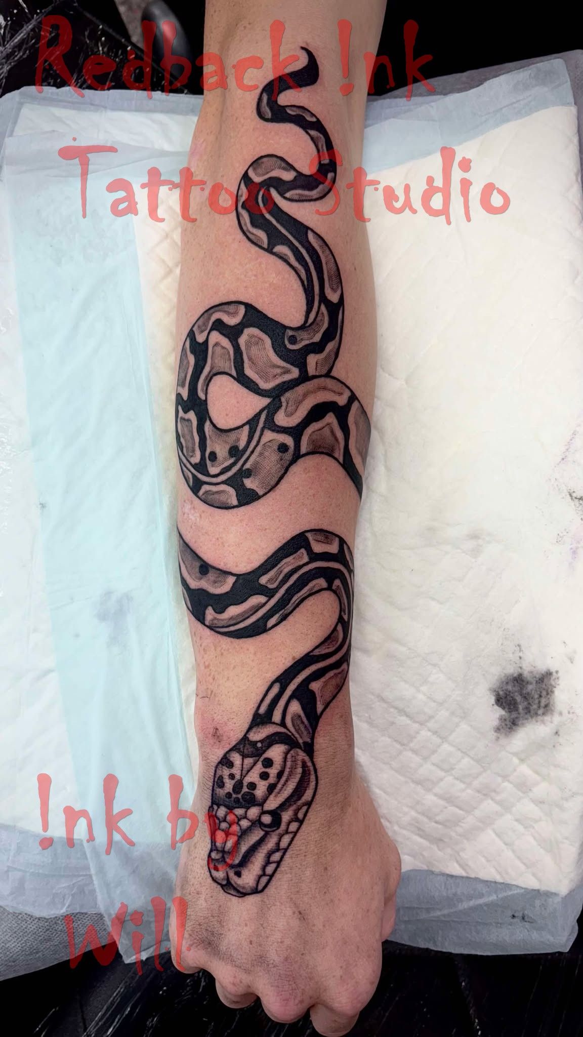 Tattoo of a python coiled down an arm, black and brown pattern, red mouth, on a white surface.