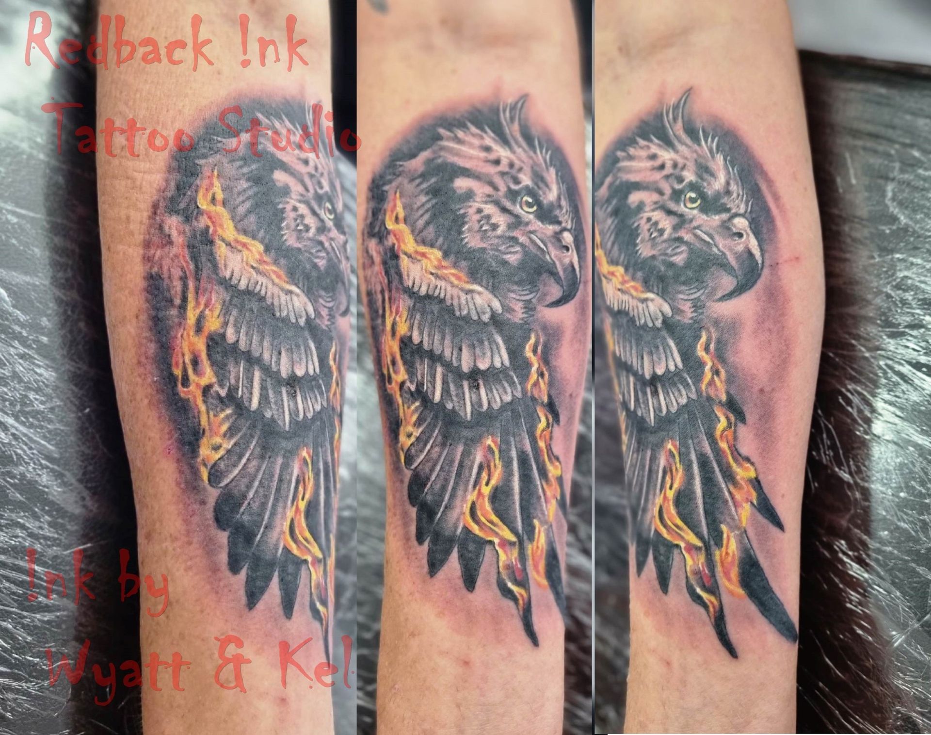 Tattoo of a dark bird wing with flames on a forearm, in various poses. — Redback !nk Tattoo Studio in Kawana, QLD