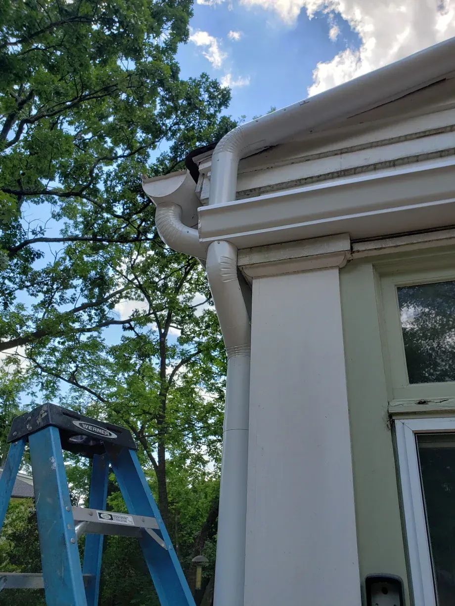 White guttering on a building's corner; blue ladder; trees and sky in the background.