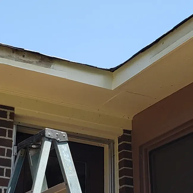 A ladder below a house's roofline with tan soffit, brown door, and brick wall. Clear sky above.