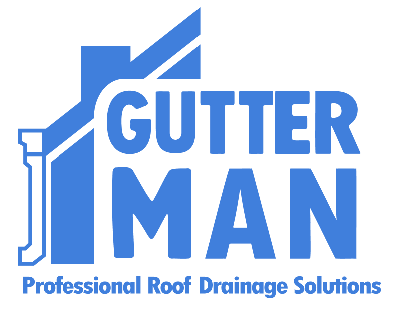 A blurry picture of the word logo on a white background.