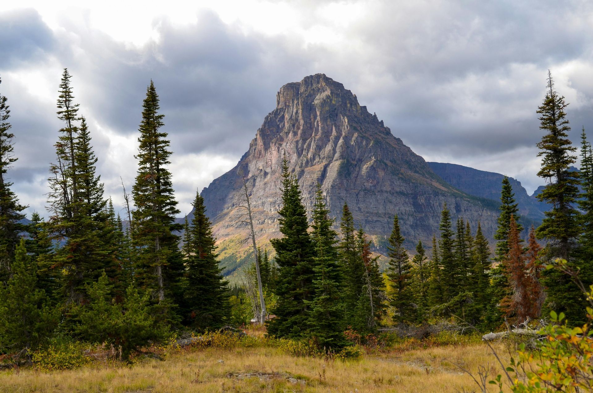 Montana