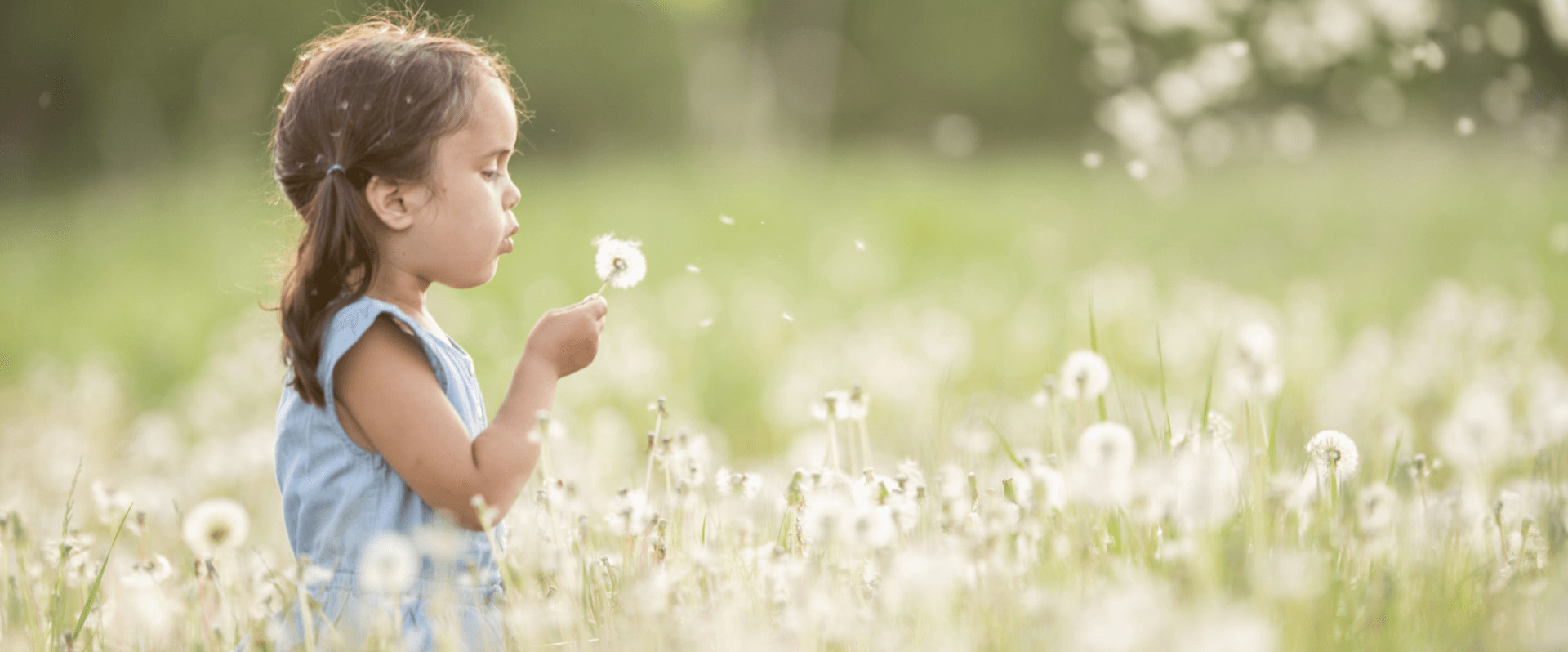 Photograph of young girl with dandelion