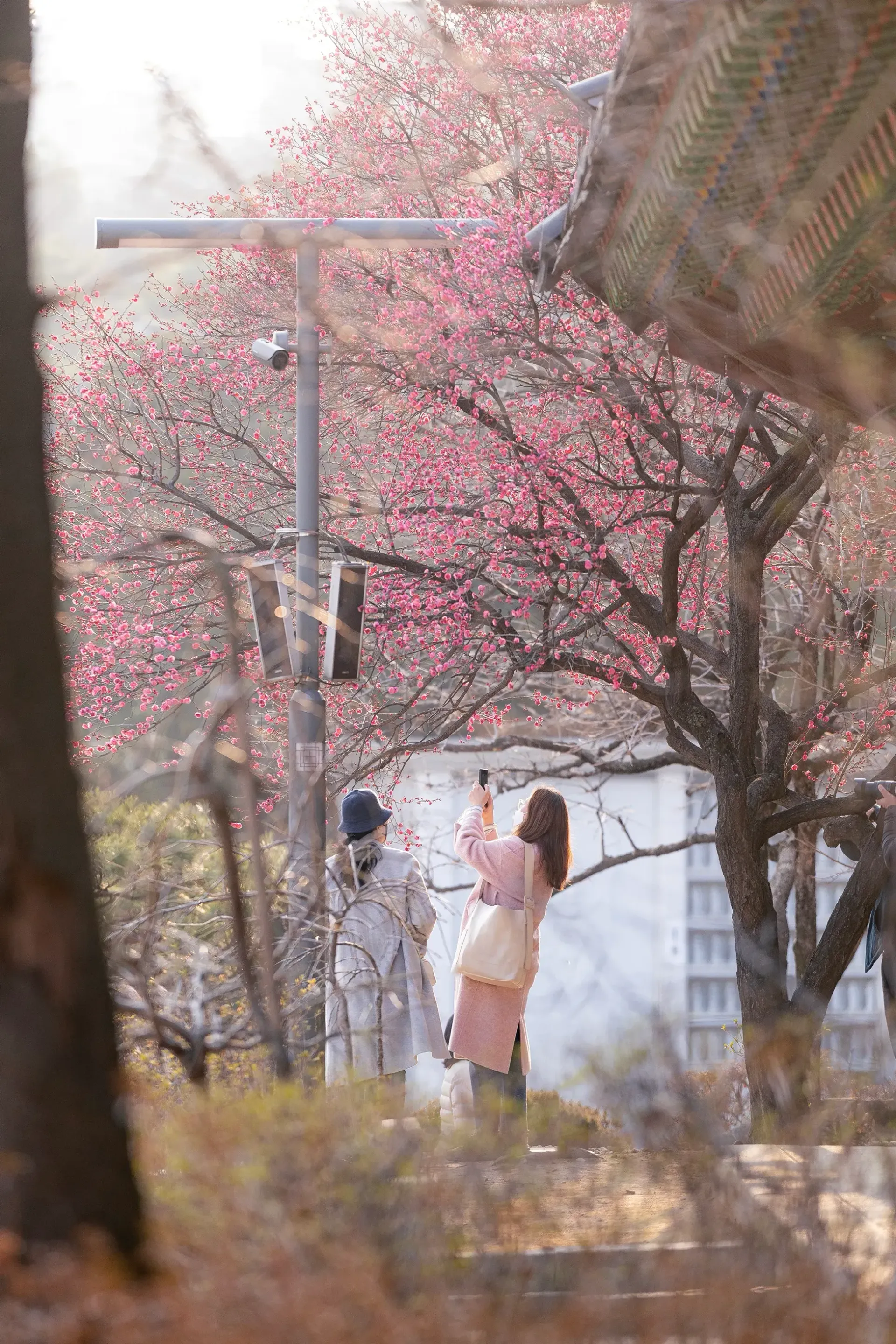 korea tour guide Korea Grand Palaces