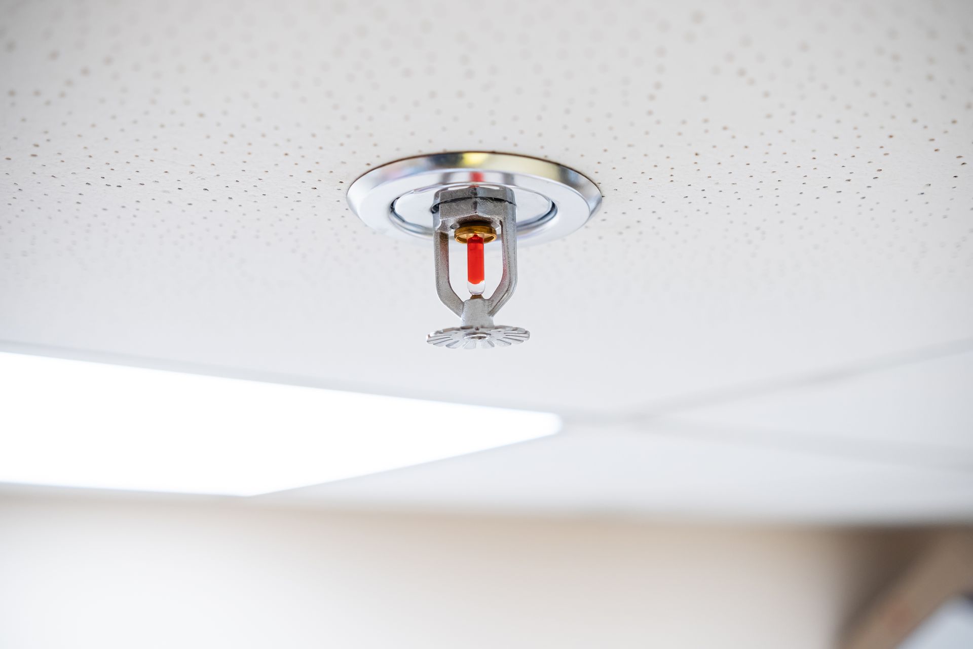 Ceiling-mounted fire sprinkler head with red glass bulb in a commercial interior. Ceiling-mounted fire sprinkler head with red glass bulb in a commercial interior.