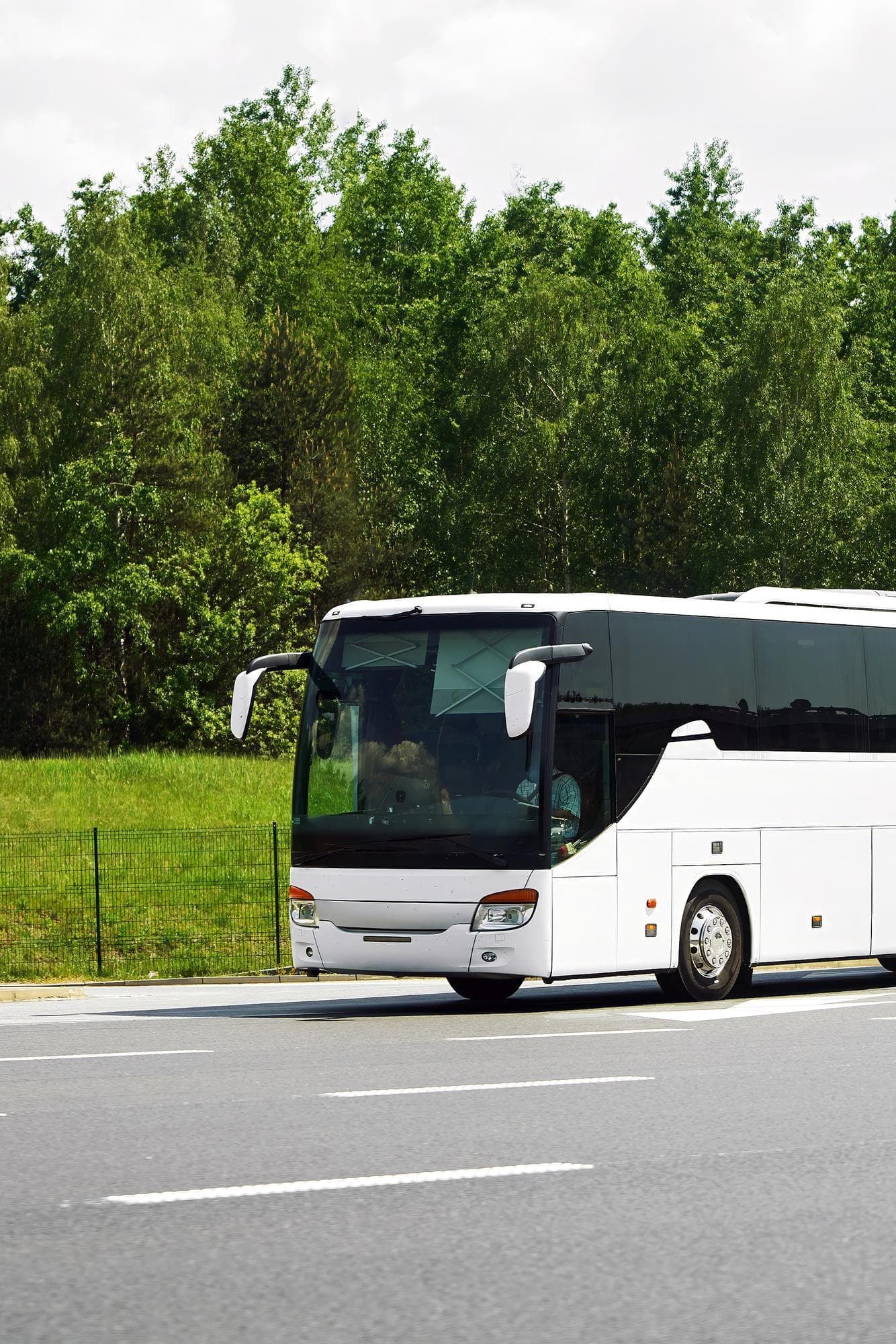 Ônibus branco estacionado em estrada asfaltada em frente a árvores verdes e grama.