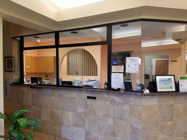 A dental office with a counter and a plant in front of it.