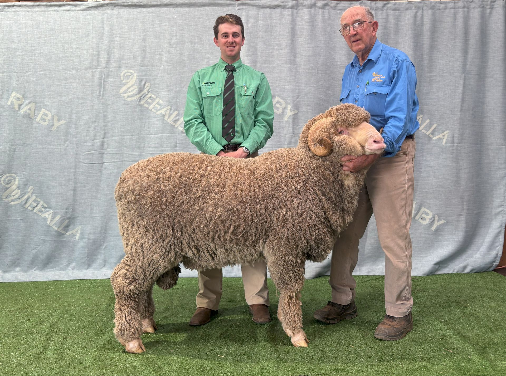 2018 Bendigo Ram Sale