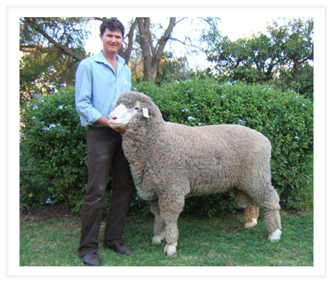 ma holding a big sheep