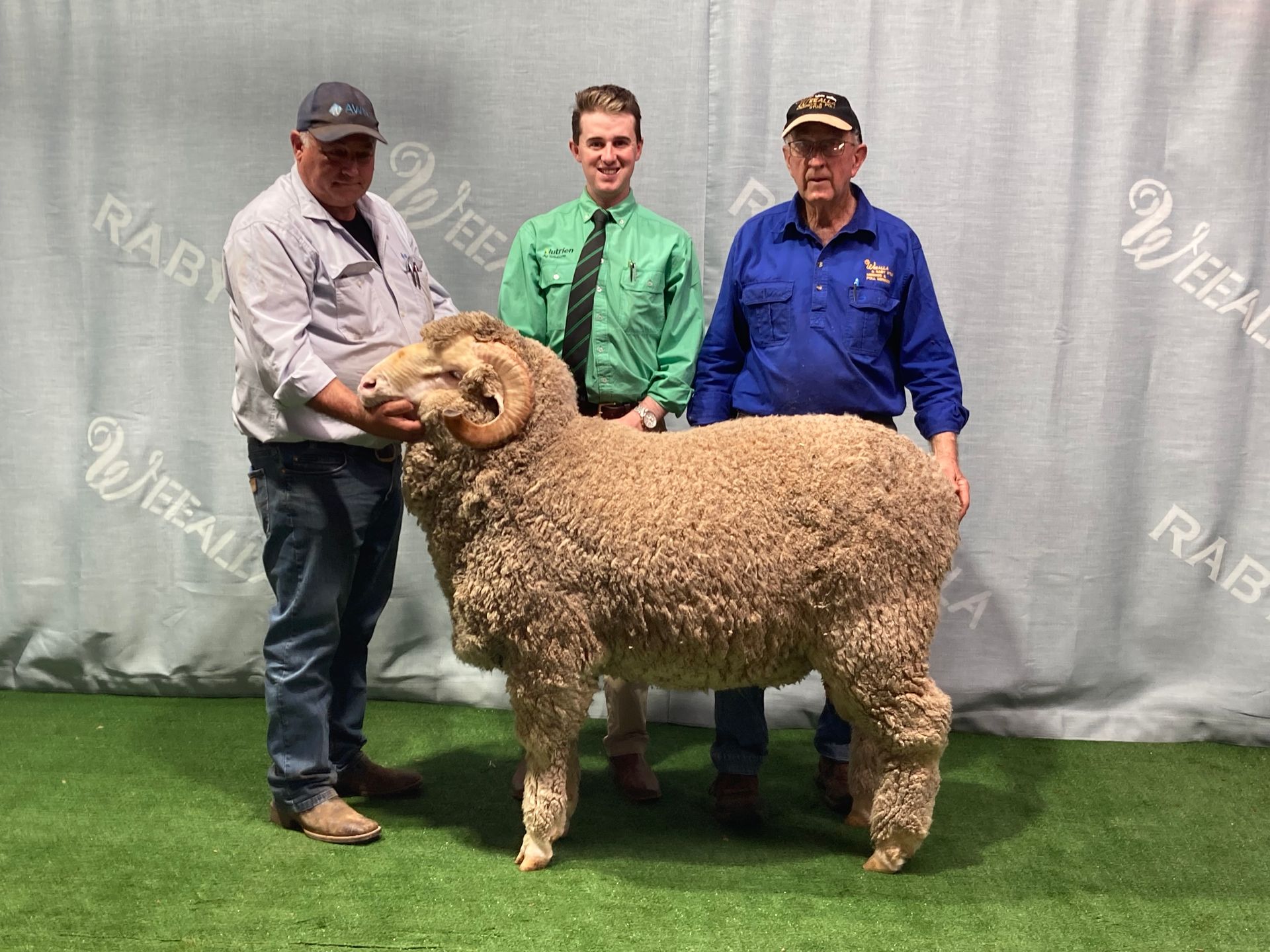 2018 Bendigo Ram Sale