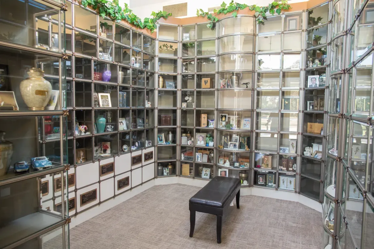 Curved wall of cubby shelves filled with objects and books, with a black bench in a bright courtyard.