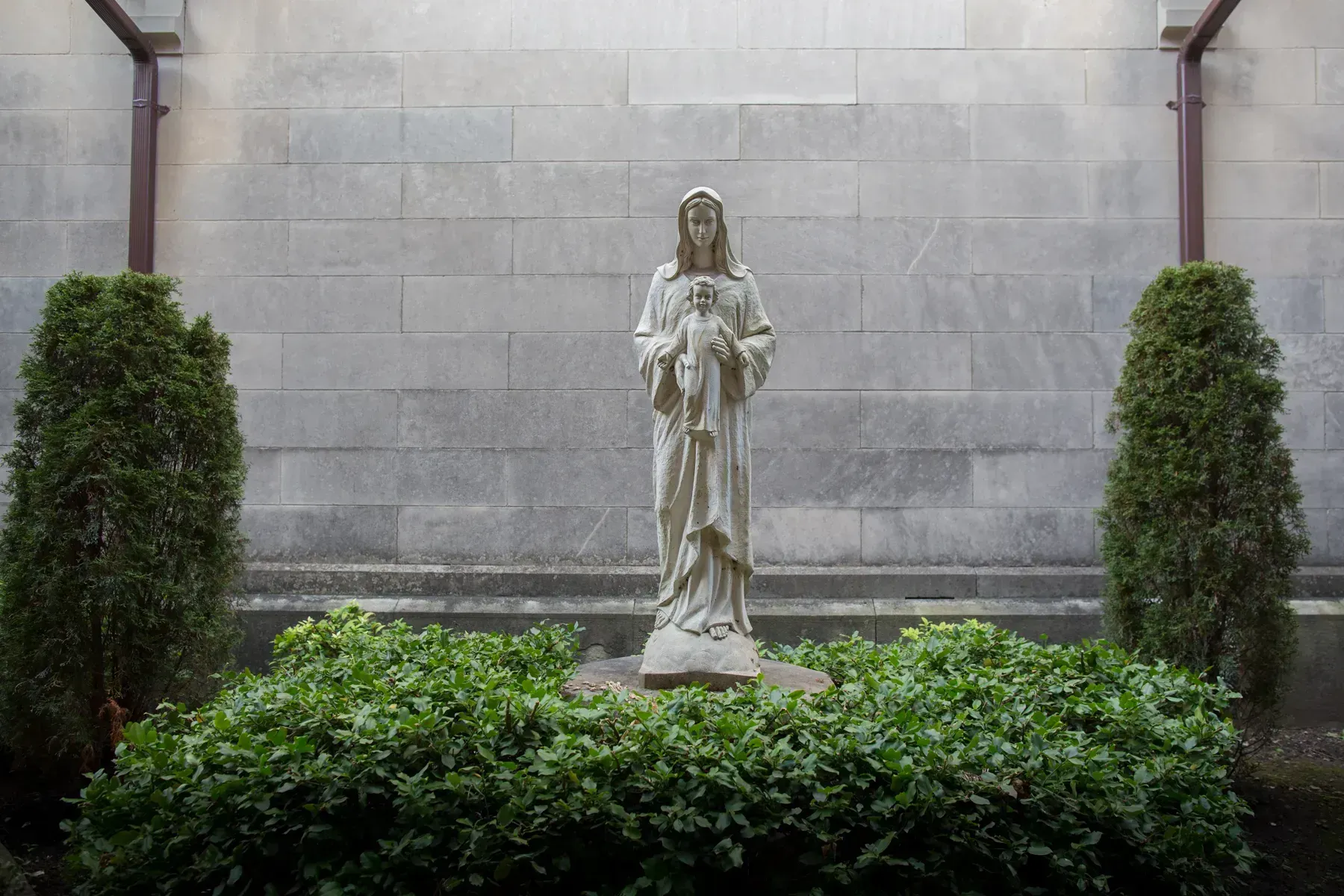 Statue of the Virgin Mary in a garden, framed by green shrubs and a stone wall.