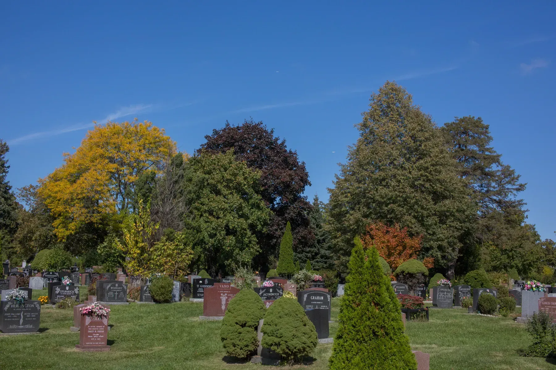 Gravestones in a cemetery with autumn trees under a clear blue sky
