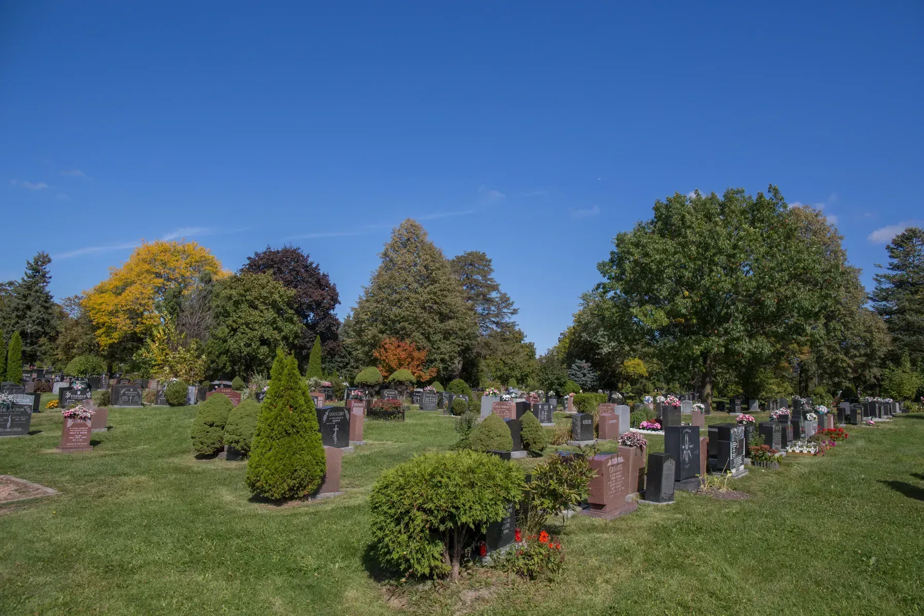 Sunny cemetery with gravestones, green grass, and trees under a clear blue sky