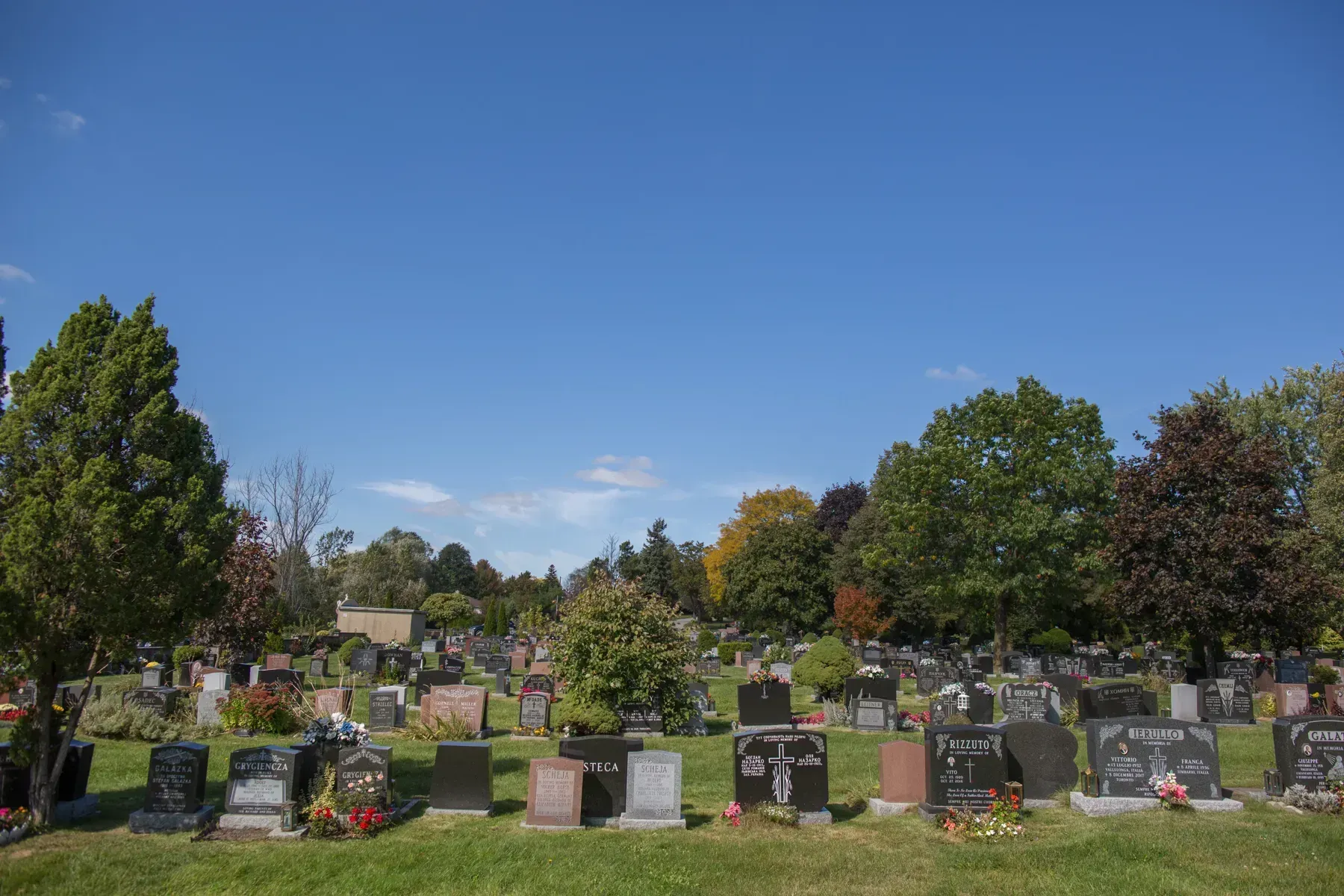 Gravestones in a green cemetery under a bright blue sky with trees in the background