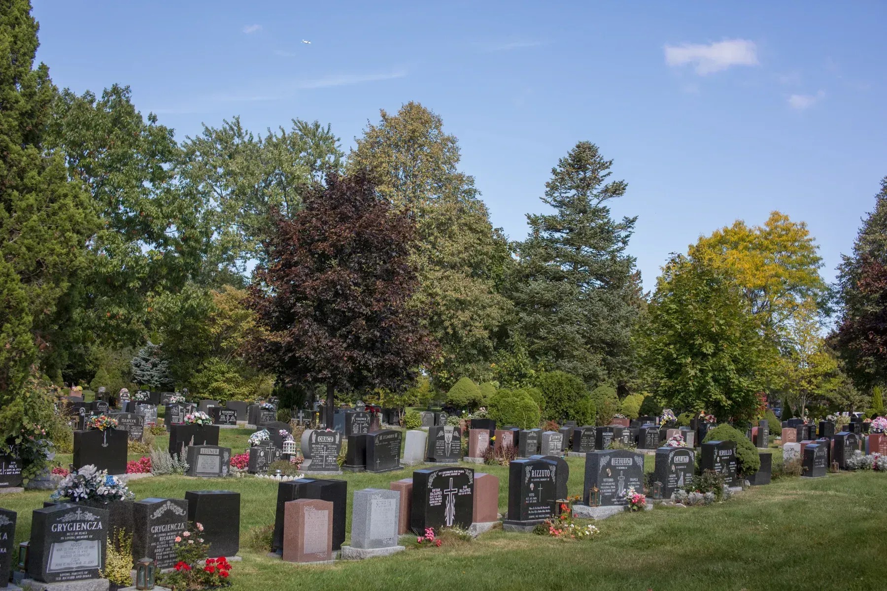 Cemetery with rows of gravestones amid green trees under a blue sky
