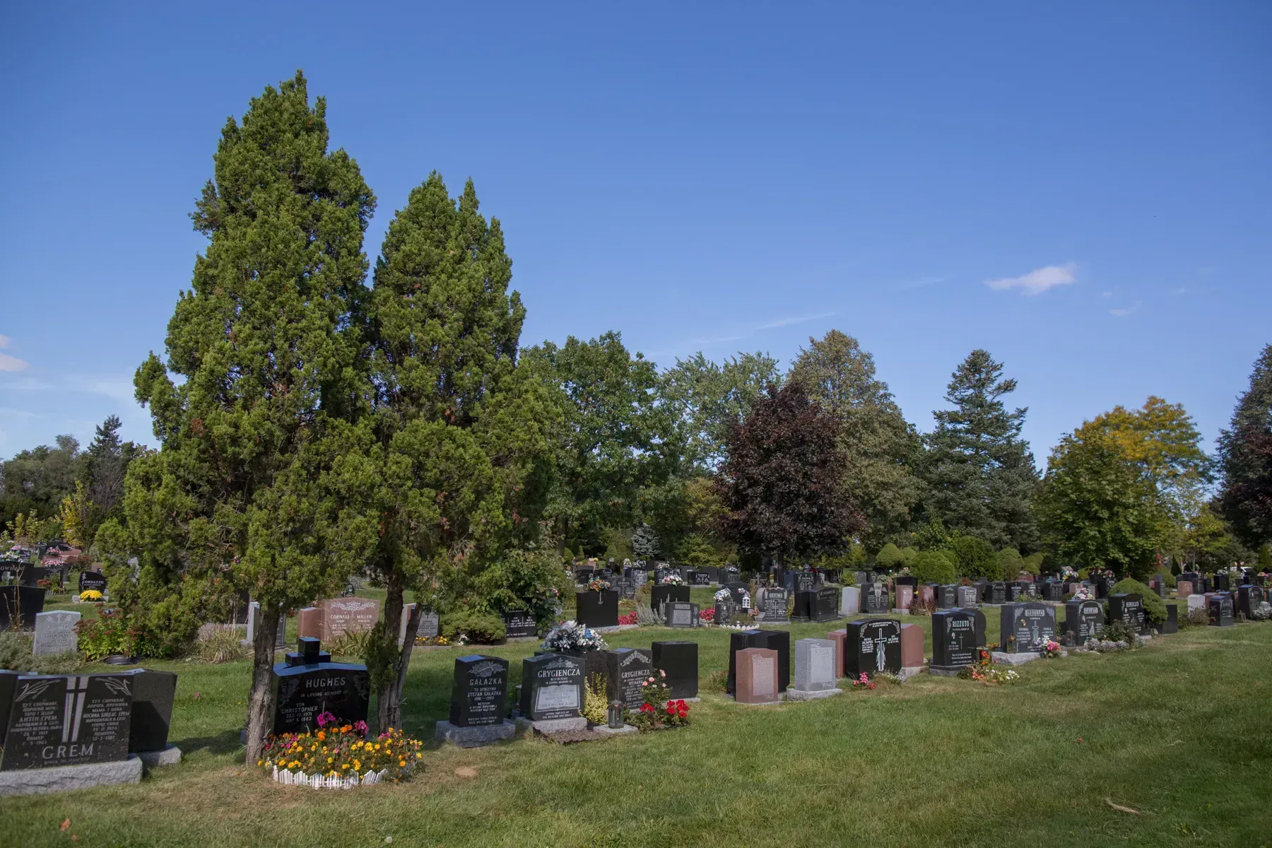 Cemetery with rows of gravestones under trees on a sunny day