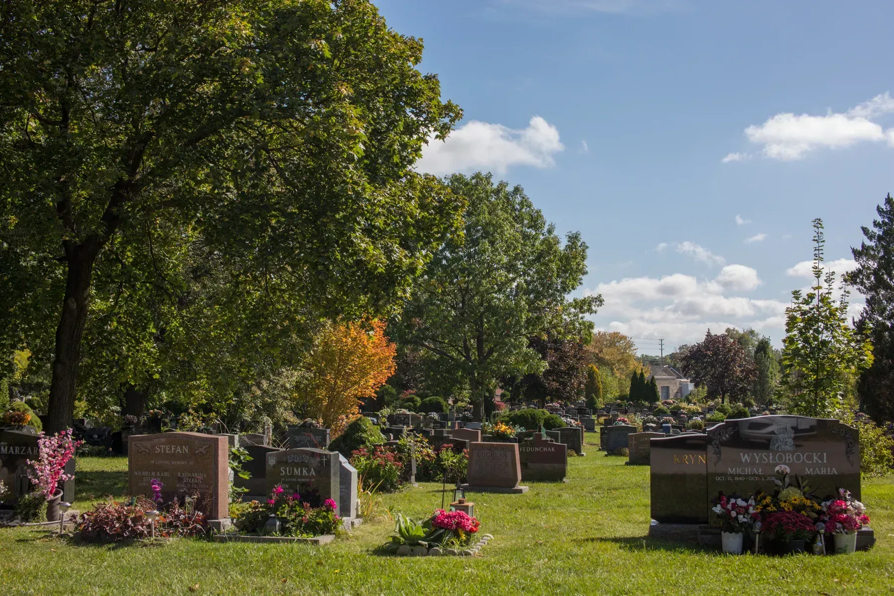 Sunlit cemetery with headstones, pink flowers, and large green trees under a blue sky