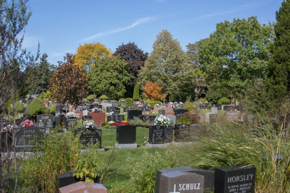 Gravestones in a cemetery with green grass and autumn trees under a clear blue sky