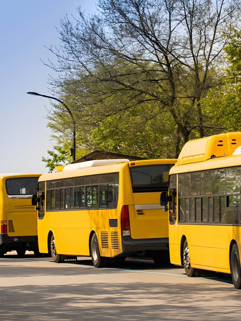 A Row Of Yellow Buses Are Parked On The Side Of The Road — Petrena Windscreens In Oakey, QLD