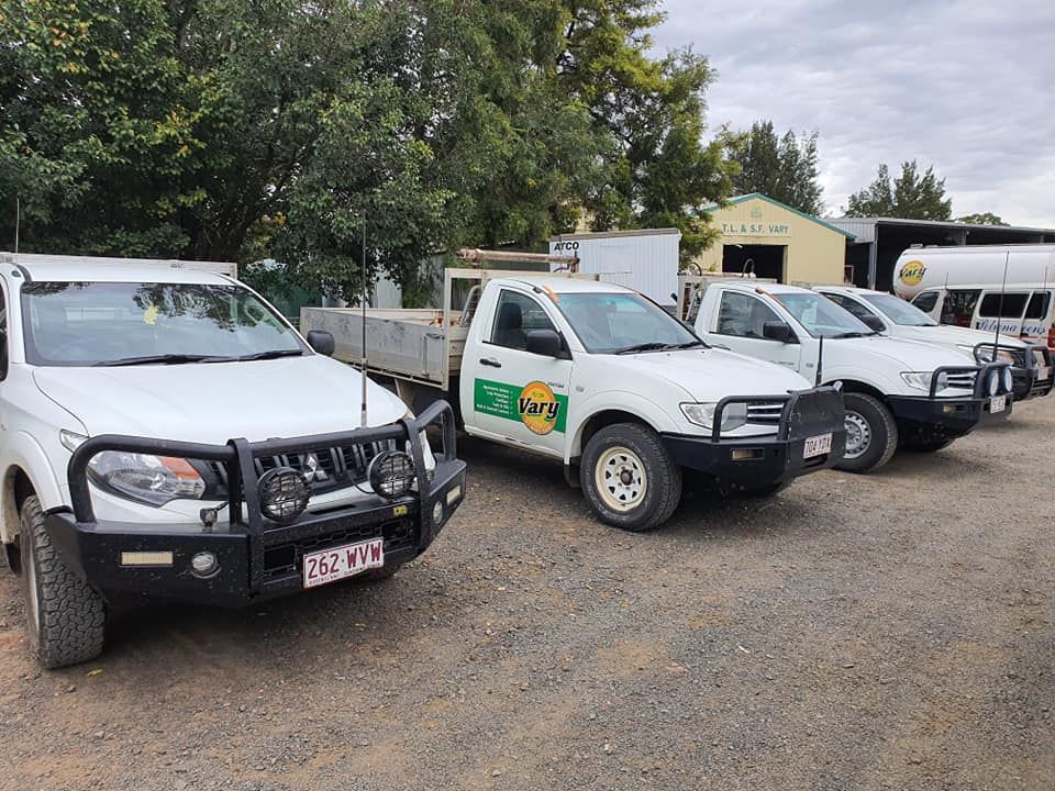 A Row Of White Trucks Parked Next To Each Other In A Parking Lot — Petrena Windscreens In Pittsworth, QLD