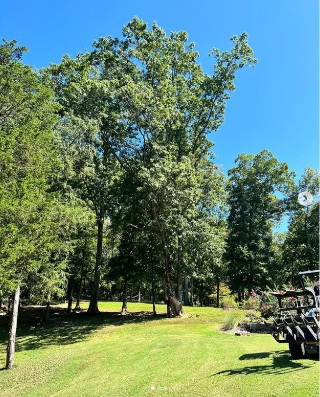 A tractor is parked in a grassy field with trees in the background.
