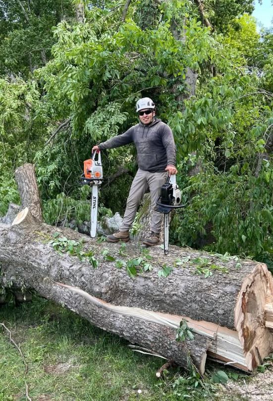 A man is standing on top of a large log holding a chainsaw.