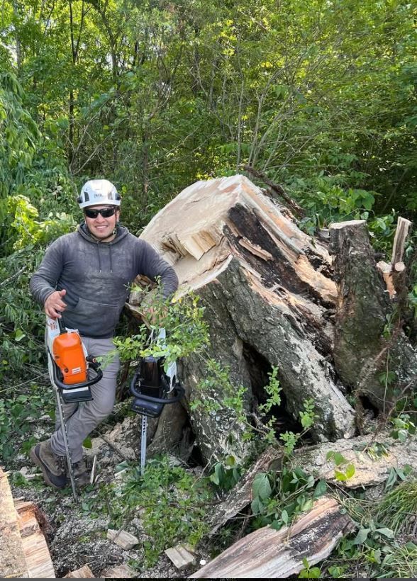 A man is standing next to a large tree stump holding a chainsaw.