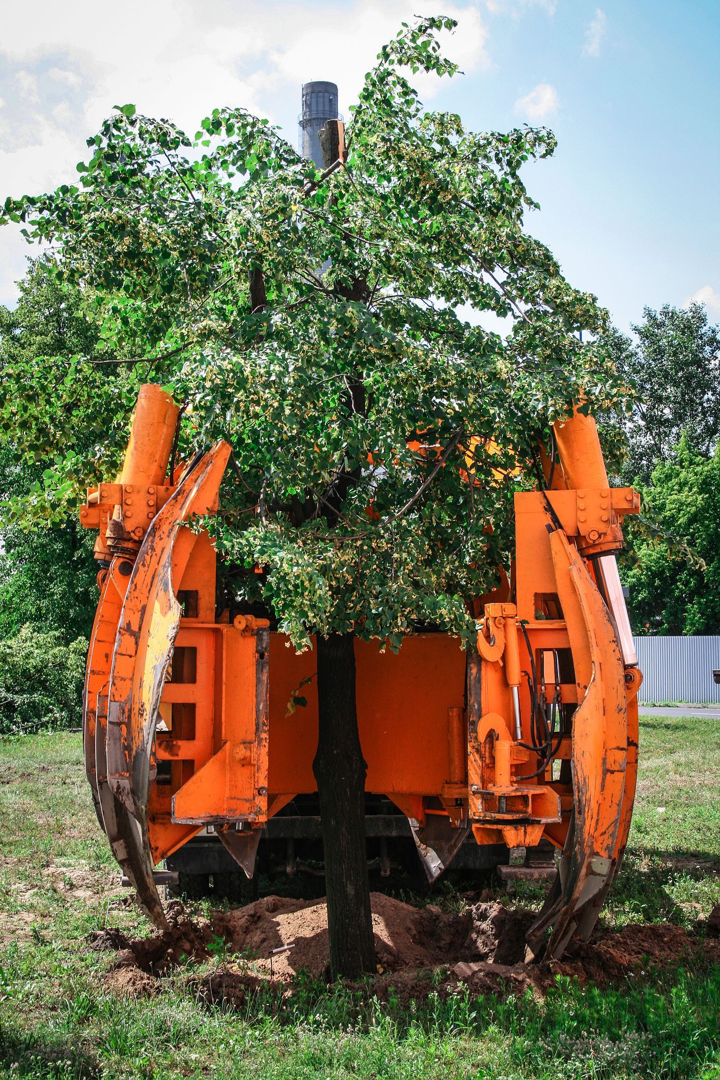 A large orange machine is planting a tree in the ground.