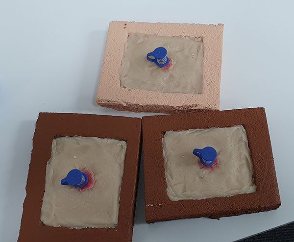 ef training healthcare