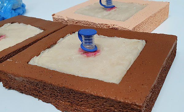 ef training healthcare