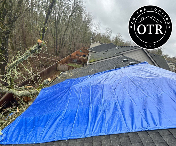 roof repair centralia wa