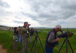 BeckwithRanch_SalidaConvention2015_DianaBeatty Birding at Beckwith Ranch during a Salida convention. Photo by Diana Beatty.