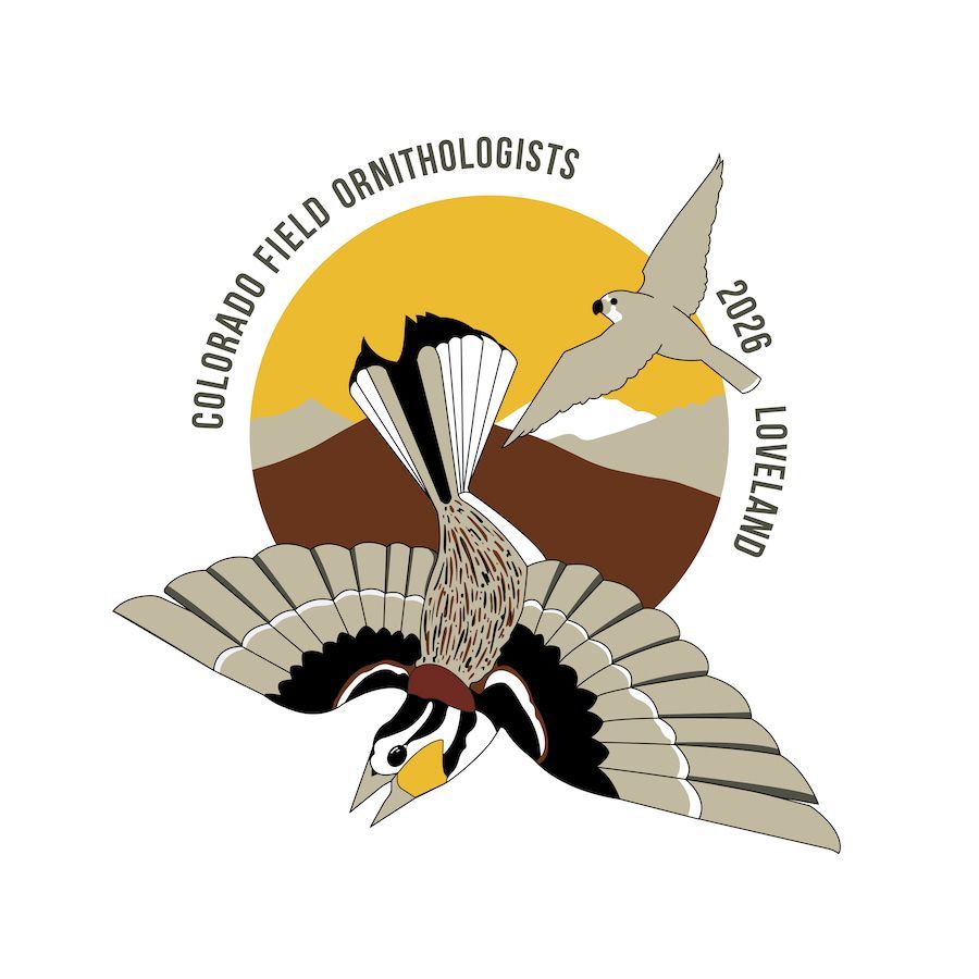 CFO_LOVELAND_Website-Fnl_022226 Logo design by Moira Wisteria. Moira has been an illustrator for over 10 years, and their passion for conservation and biodiversity has influenced their artistic style ever since they could first hold a pencil. An art major turned biology major, they blend their love of the arts and animals into each piece they create. You can find them on Instagram @moirastrapia.777