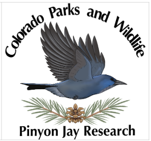 CPW Pinyon Jay Research CPW Pinyon Jay Research