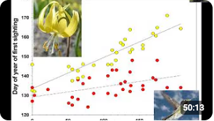David Inouye YouTube_1.22.26 David Inouye shares insights from his long-term studies of the hummingbirds and the flowers at Rocky Mountain Biological Laboratory