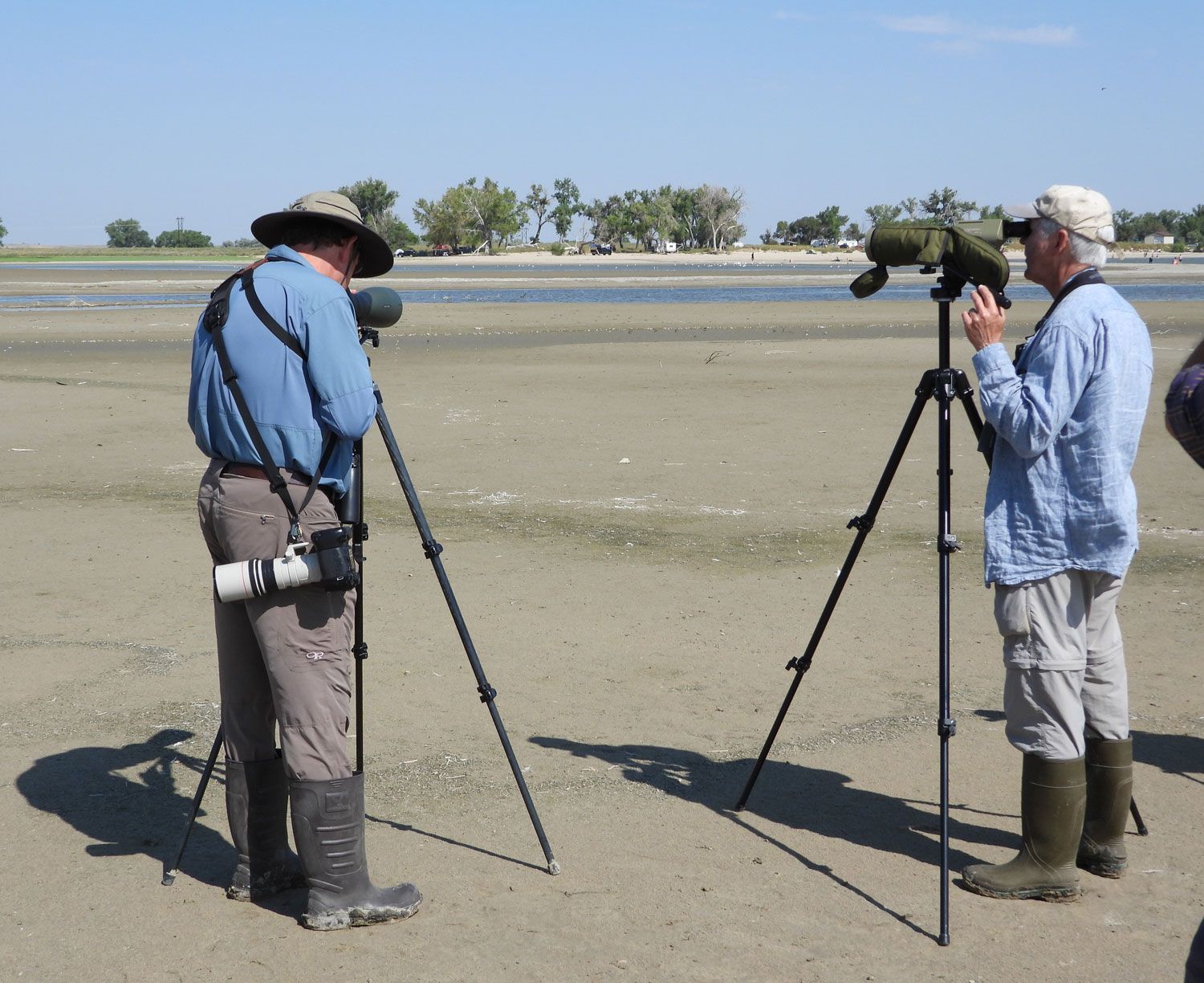 Fall-Shorebird-Field-Trip-1-op Shorebird workshop 2021. Photo by Greg Osland.