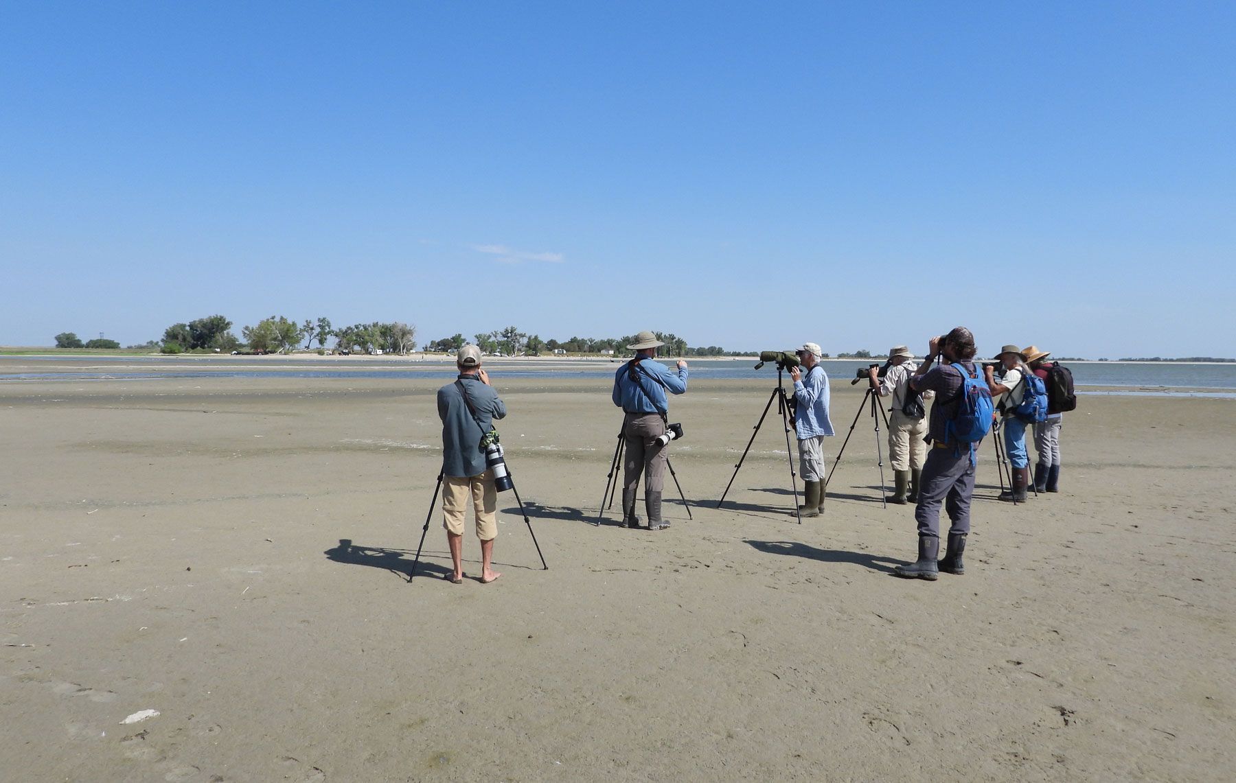 Fall-Shorebird-Field-Trip-2-hero