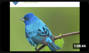 Whether looking for a new birding spot near home or planning an extended trip to the far corners of the state, you’ve probably used a bird-finding guide to help find a prime location. Ten years ago, Ken Ostermiller was thinking about bringing bird-finding guides into the 21st century using crowd-sourcing. The site he developed based on a crowd-sourcing model wasn’t getting much traction until a conversation with fellow birder and software developer Adam Jackson. The conversation hatched the current Birding Speakers: Charles Hundertmark, Ann Johnson, Ken Osermiller Hotspots website (https://birdinghotspots.org/) that is rapidly gaining traction across the country.