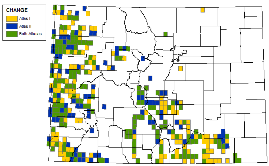 PinyonJayRangeInColorado_ColoradoBreedingBirdAtlasII Map of colorado with colored squares showing where Pinyon Jays were detected in the First and Second Colorado Breeding Birds Atlases.