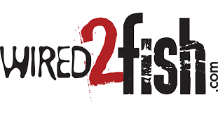 wired2fish writer for fishing