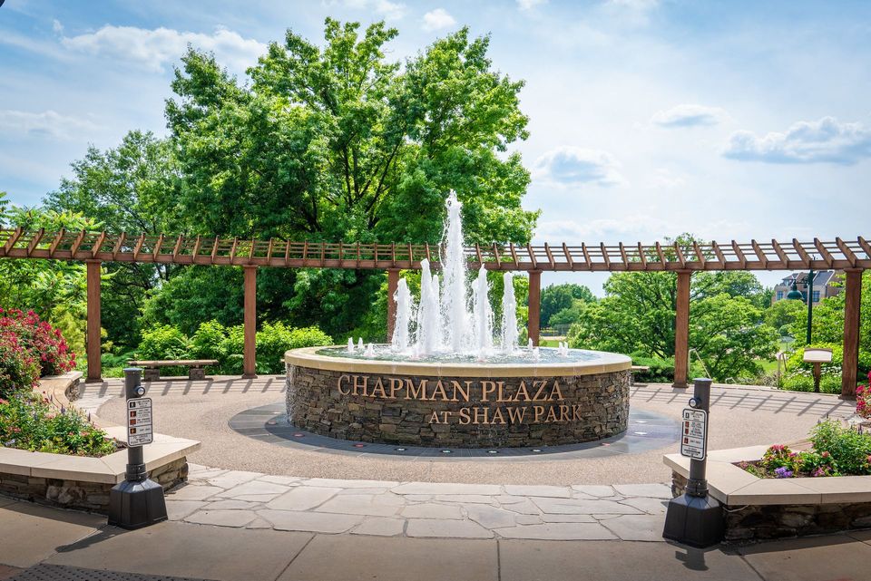 Fountain at Chapman Plaza in front of a tree. Round stone structure with flowing water and a pergola.
