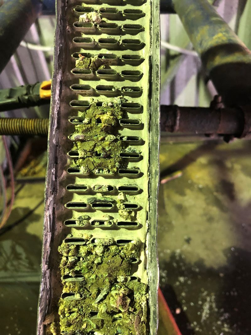 A Close up Of a Radiator with Green Algae Growing on It — Radiator Doctor In Pialba, QLD
