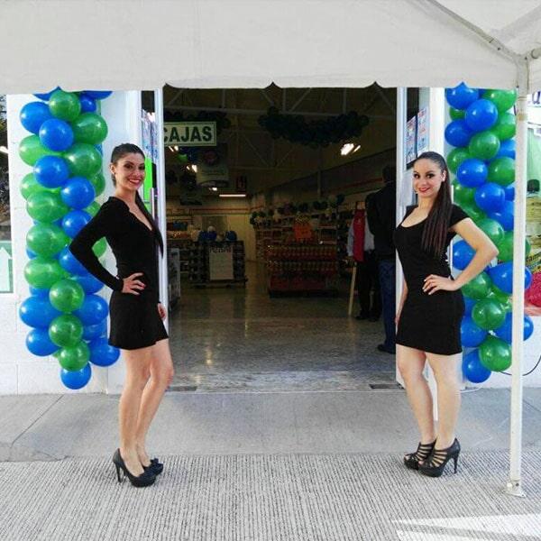 AGENCIA DE REPARTO EFICIENTE & PUBLICIDAD