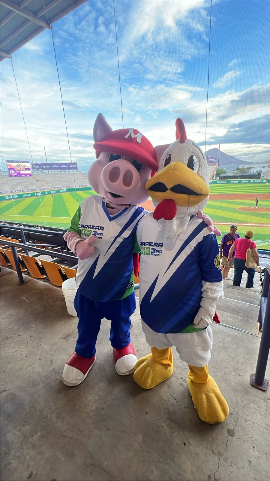 Dos mascotas, un cerdo y un pollo, posan para una foto en un estadio de béisbol.
