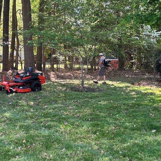 Lawn care professional trimming a yard